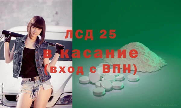 крисы Касимов
