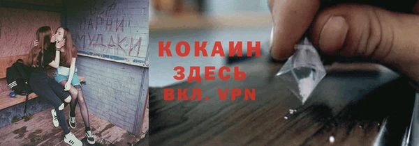 крисы Касимов