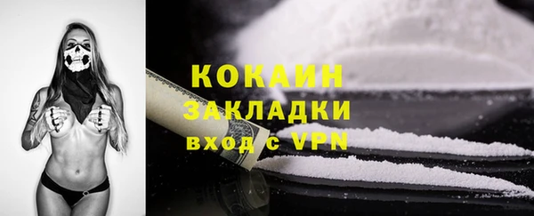 сатива Карталы