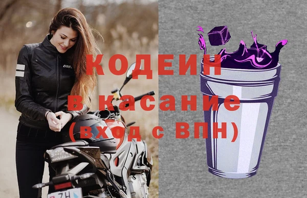 крисы Касимов