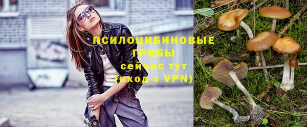 крисы Касимов