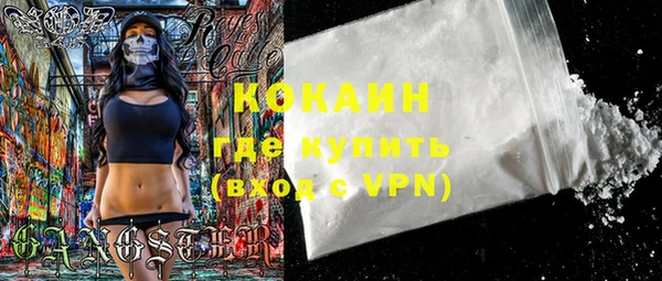 крисы Касимов