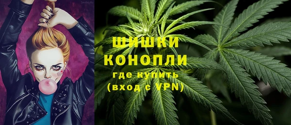 крисы Касимов