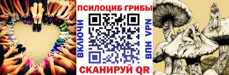 Псилоцибиновые грибы Cubensis  Купить закладки  Бородино 